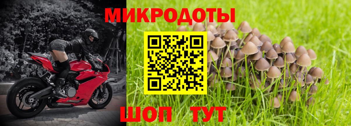 Псилоцибиновые грибы GOLDEN TEACHER Нефтекамск