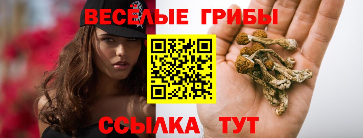 Галлюциногенные грибы Magic Shrooms  Вход с VPN  Нефтекамск 